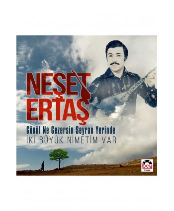 Neşet Ertaş - Gönül Ne...