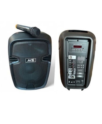 ACE AUDIO PAQ-10 120 WATT...