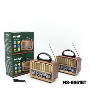 Ns-6651BT Taşınabilir...