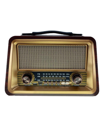 Raıseng R-2066BT Retro...