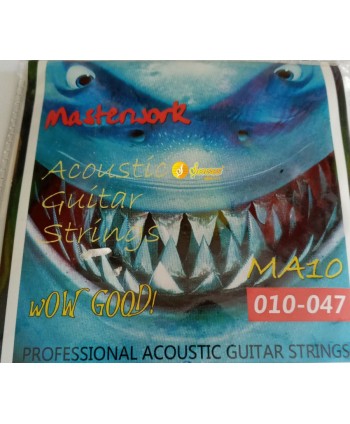Masterwork Akustik Gitar...